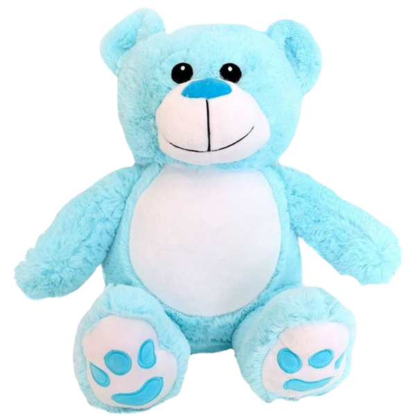 Personalised Plush Teddy Bear Pink Or Blue