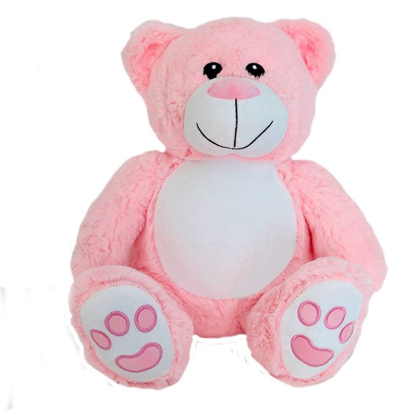 Personalised Plush Teddy Bear Pink Or Blue
